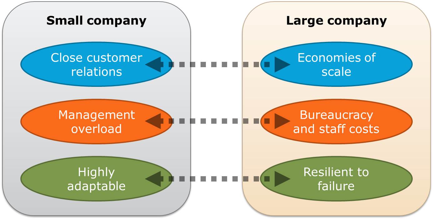 Marketing issues of small company versus large company